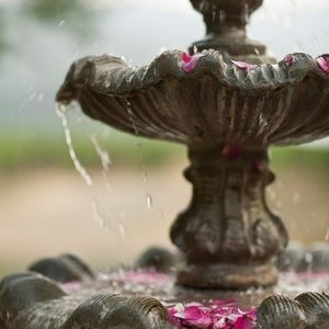 Meet your Posher, Ruthy